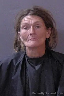 Mugshot of Holly Brooke Fite booked in Hamilton County, Indiana on July 11, 2026