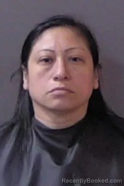 Mugshot of Lyane Marie Casiano booked in Hamilton County, Indiana on July 12, 2026