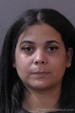 Mugshot of Janisbell Hernandez Fernandez booked in Hamilton County, Indiana on July 12, 2026