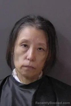 Mugshot of Haiying Niu booked in Hamilton County, Indiana on July 13, 2026