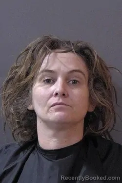 Mugshot of Shaneil Anne Weltch booked in Hamilton County, Indiana on July 13, 2026
