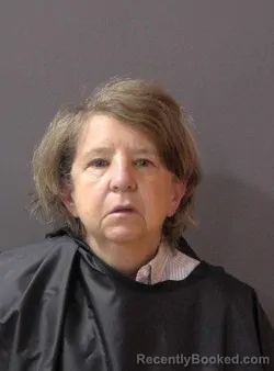 Mugshot of Susan Louise Detamore booked in Hamilton County, Indiana on July 19, 2026