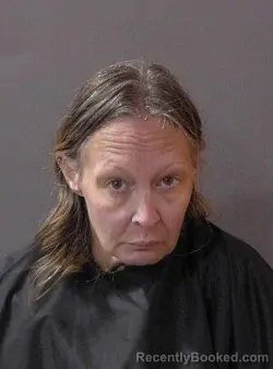 Mugshot of Gina Elizabeth Vetrone booked in Hamilton County, Indiana on July 23, 2026