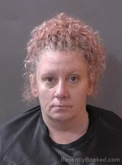 Mugshot of Shawna Lynn Gibson booked in Hamilton County, Indiana on July 23, 2026
