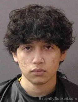 Mugshot of Luis David Valecillos Zerpa booked in Hamilton County, Indiana on July 25, 2026