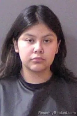 Mugshot of Jacqueline Stephanie Ceron-Rosa booked in Hamilton County, Indiana on August 9, 2026