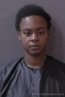 Mugshot of Da-Shanea Niko Perry booked in Hamilton County, Indiana on August 9, 2026