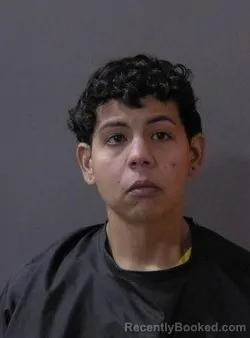 Mugshot of Odalys Gonzalez Castro booked in Hamilton County, Indiana on August 9, 2026