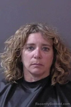 Mugshot of Michelle Dawn Draper booked in Hamilton County, Indiana on August 22, 2026