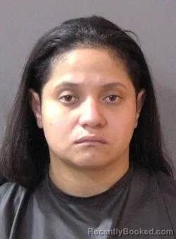 Mugshot of Adriana Menocal Cisnados booked in Hamilton County, Indiana on August 22, 2026
