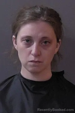 Mugshot of Megan Tawney Hammel booked in Hamilton County, Indiana on August 23, 2026
