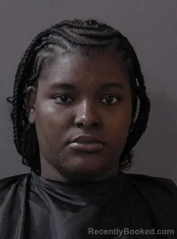 Mugshot of Rahanatou Laretou Souley booked in Hamilton County, Indiana on August 23, 2026