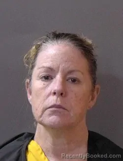 Mugshot of Tammy Jo Hunter booked in Hamilton County, Indiana on August 25, 2026
