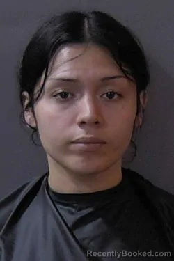 Mugshot of Pamela Yajaira Castillo booked in Hamilton County, Indiana on August 26, 2026