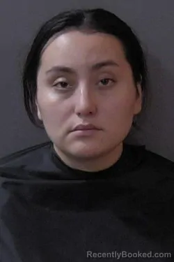 Mugshot of Brenda Vasquez Villalobos booked in Hamilton County, Indiana on August 26, 2026
