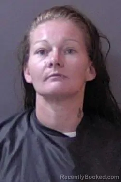 Mugshot of Natasha Nicole Young booked in Hamilton County, Indiana on August 27, 2026