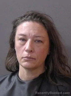 Mugshot of Amanda Lee Sexson booked in Hamilton County, Indiana on August 28, 2026