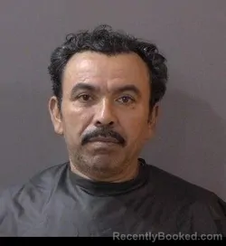 Booking photo from Hamilton County, Indiana