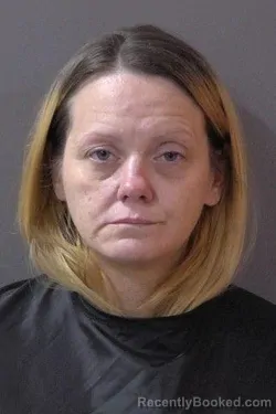 Mugshot of Brandie N Nealy booked in Hamilton County, Indiana on September 15, 2026