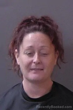 Mugshot of Stacy Louise Wilson booked in Hamilton County, Indiana on September 30, 2026