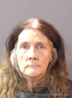 Mugshot of Debra Ann Hollingsworth booked in Hamilton County, Indiana on October 1, 2026