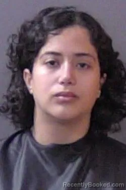 Mugshot of Sarah Mohamed Deiban booked in Hamilton County, Indiana on October 3, 2026
