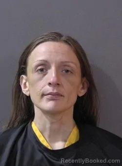 Mugshot of Emily Hope Hunsucker booked in Hamilton County, Indiana on October 14, 2026