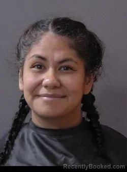 Mugshot of Claudia Ivette Palacios booked in Hamilton County, Indiana on October 17, 2026