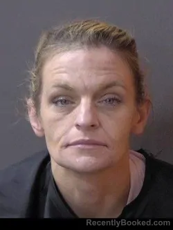 Mugshot of Lisa Mary Solan booked in Hamilton County, Indiana on October 18, 2026