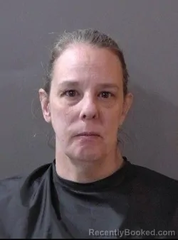 Mugshot of Nicole Suzanne Yalowitz booked in Hamilton County, Indiana on October 22, 2026