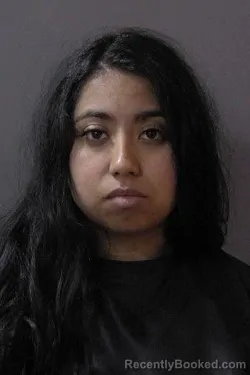 Mugshot of Carol Samantha Puebla booked in Hamilton County, Indiana on October 24, 2026