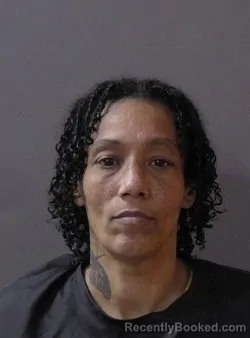 Mugshot of Dena Laverne Johnson booked in Hamilton County, Indiana on October 24, 2026