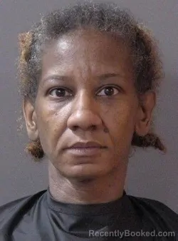 Mugshot of Denishyidun Shaynna Pearson booked in Hamilton County, Indiana on October 29, 2026