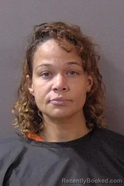 Mugshot of Monique Renee Noel booked in Hamilton County, Indiana on October 29, 2026