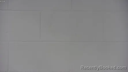 Mugshot of JASON DILLON BRAMLETTE