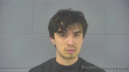 Mugshot of BRYAN HENRY SWEITZER