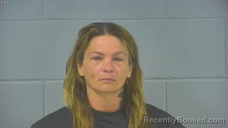 Mugshot of ASHLEY ANN PALMER booked in Hancock County, Indiana on June 25, 2026