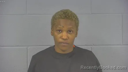 Mugshot of DHANIECE JHANAA LEAVELLE-TUBBS booked in Hancock County, Indiana on July 4, 2026