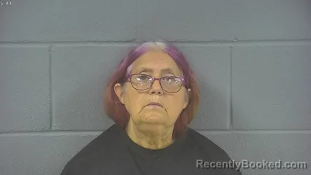 Mugshot of Rebecca A Hogston booked in Hancock County, Indiana on August 21, 2026