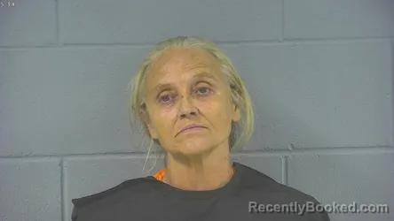 Mugshot of Anne Marie Heppner booked in Hancock County, Indiana on August 24, 2026