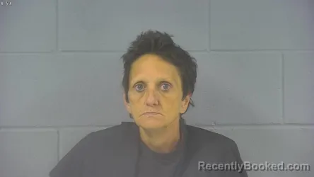 Mugshot of Tina Marie Skeen booked in Hancock County, Indiana on September 10, 2026