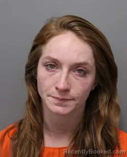 Booking photo from Hendricks County, Indiana