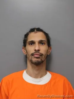 Mugshot of PATRICK AARON HORNE booked in Hendricks County, Indiana on March 18, 2026