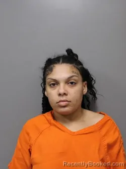 Mugshot of LILLI ANN DAVIS booked in Hendricks County, Indiana on April 8, 2026