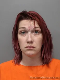 Mugshot of JHERICAHOPE PAIGE DAVIS booked in Hendricks County, Indiana on April 23, 2026