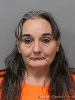 Mugshot of Tonja Leona Norris booked in Hendricks County, Indiana on August 24, 2026