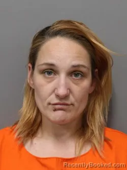 Mugshot of SHANNON RENEE O'DONNELL booked in Hendricks County, Indiana on March 28, 2026