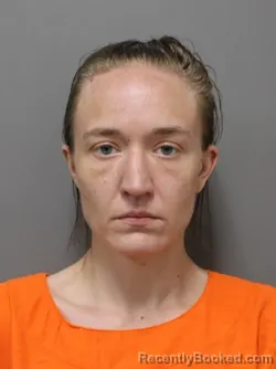 Mugshot of MARY ELIZABETH DODGE booked in Hendricks County, Indiana on April 24, 2026