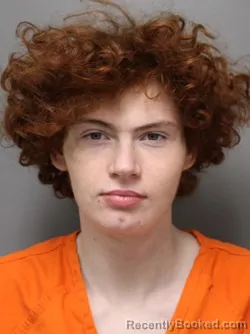 Mugshot of LAWRENCE EDWARD CONKLIN booked in Hendricks County, Indiana on March 31, 2026