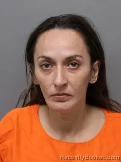 Mugshot of ERICA ANITA HERNANDEZ
